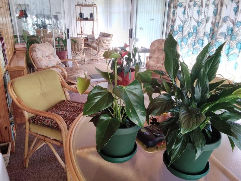 3 Bedroom Property for Sale in Gariepdam Free State